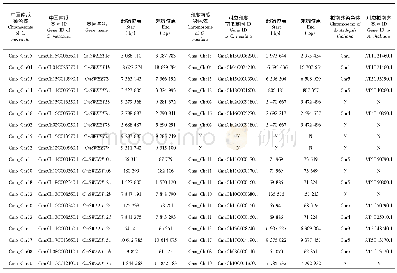 表4 印度南瓜和拟南芥中对应中国南瓜SWEET的共线基因