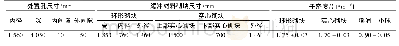 《表4 竖直孔处置方式设计参数》