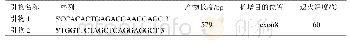 《表1 绵羊e NOS基因扩增引物信息表》