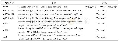《表2 本研究所构建质粒的特征及来源》