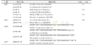 《表1 LMP2和LMP7基因的引物序列》