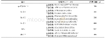 《表1 PCR扩增引物序列》