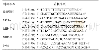 表1 PCR反应体系引物序列