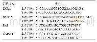 《表1 RT-PCR检测肝组织LXRα、SREBP-1及FAS mRNA表达的引物序列》