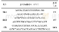 《表1 生物被膜相关基因引物序列[11]》