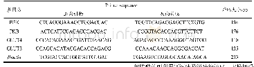 表2 用于RT-PCR引物序列