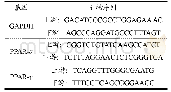 表1 引物序列：锦南复方对2型糖尿病大鼠血糖的辅助调节作用