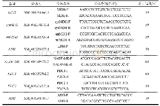 表1 木纳格葡萄有机酸代谢相关基因引物序列