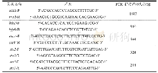 表2 3种致泻大肠埃希氏菌目标基因引物序列