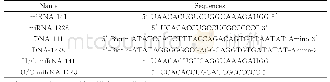 表1 miRNA与DNA的碱基序列