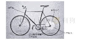 《表3 未经训练的普通成年人自行车训练测定输出功率数据(W/kg)》