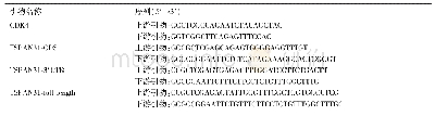 《表1 引物序列表：天然反义转录本Tetraspanin31调控CDK4的分子机制》