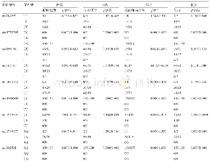 表1 HIF-1α基因SNP基因型在不同群体中的分布比较(例)