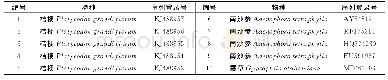 《表3 NCBI下载的各基因序列信息》