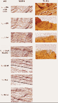 表2 研究区主要岩性的遥感影像特征及与部分野外照片对比Table 2 Remote sensing image characteristics of main lithology in the study area and comparis