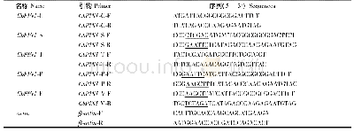 表1 所用引物Tab.1 Primers used