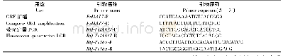 《表1 引物序列：草莓生长素响应基因FvIAA17的克隆及表达分析》