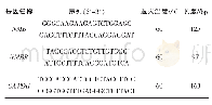 《表2 荧光定量PCR引物》