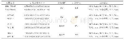 表1 目标基因的引物信息和PCR反应程序