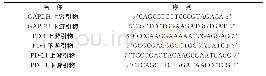 《表1 引物序列Tab.1 Primer sequences》