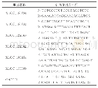 表1 基因引物序列表：三七总皂苷通过长链非编码RNA对氧诱导视网膜病变小鼠新生血管的抑制作用