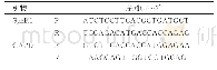 表1 引物的名称和序列