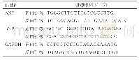 表1 q RT‐PCR检测小鼠心肌肥厚标志物基因的引物序列