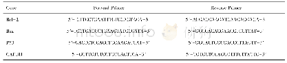 表1 实验中所用到的引物