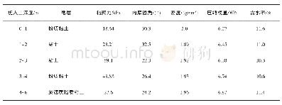 表1 土层物理力学参数Tab.1 Physical and mechanical parameters of soil