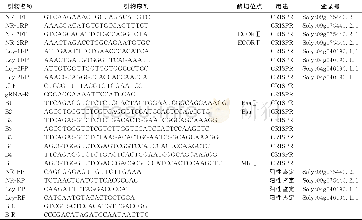 《表1 实验所用引物：番茄中CRISPR/Cas9多靶点敲除载体构建》