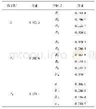 表5 各个指标的客观权重