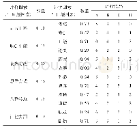 表9 对各层元素的综合评分表