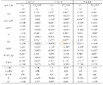 表5 区域异质性回归结果