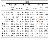 《表3 Malmquist-Luenberger指数及其分解》