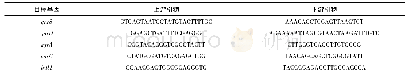 表2 目标ARGs和引物设计[14-16]