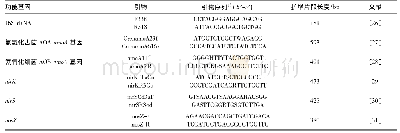 《表1 目的基因的引物序列》