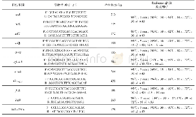 《表4 实时荧光定量PCR反应引物序列及程序》