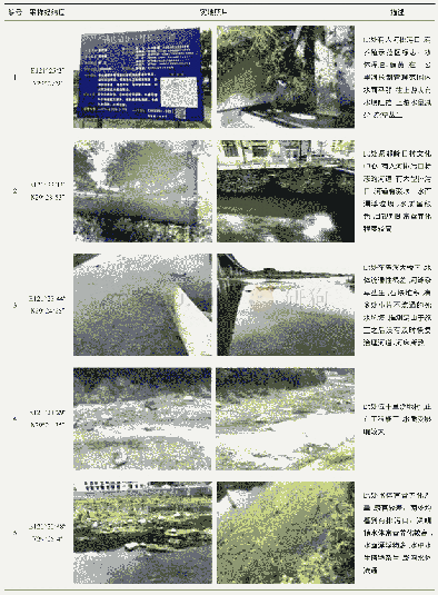 表4 采样点分布和现场观测水质情况