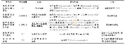 表1 生态湿地各模块的结构