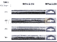 《表3 焊缝表面成形及截面宏观形貌Table 3 Weld joints surface and morphologies of the section》