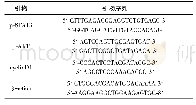表1 引物序列：p-STAT3/p-AKT信号通路及其靶基因CyclinD1在基底细胞癌皮损中的表达及其临床意义