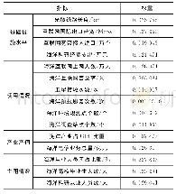 《表2 海洋信息化指标权重分配》