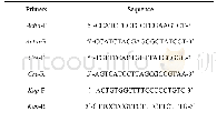 《表1 RT-PCR引物序列》