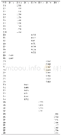 表3 中文版PNEAD问卷各条目因子负荷矩阵
