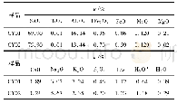 表1 含稀有金属伟晶岩硅酸盐分析结果