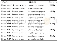 表1 β-actin基因和BMPs基因引物信息