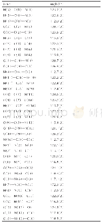 表3 AMNP的主要键角