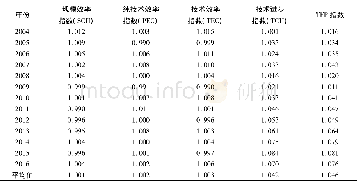 《表1 中国农业全要素生产率指数及其分解》