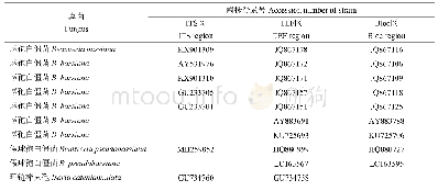 表4 供试菌株ITS区、TEF区和Bloc区的序列比对结果