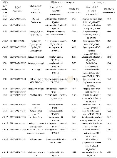 表2 草地贪夜蛾自噬相关蛋白的序列与相似性分析